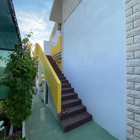 Apartment Elena Donji Okrug  Exterior photo